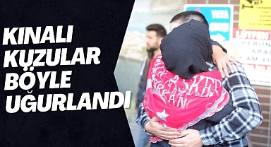 KINALI KUZULAR BÖYLE UĞURLANDI
