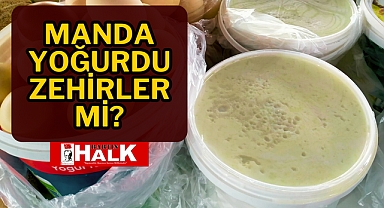 Manda yoğurdu zehirler mi?