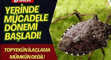 Mekanik Mücadeleden İlaçlı Mücadeleye Geçiş