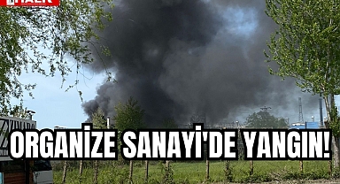 ORGANİZE SANAYİ'DE YANGIN!