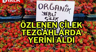 Özlenen Çilek, Tezgâhlarda Yerini Aldı