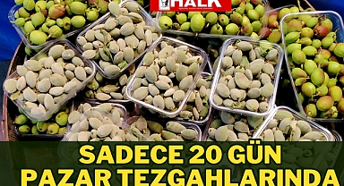 Sadece 20 Gün Tezgahlarda