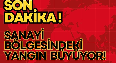 Sanayi Bölgesindeki Yangın Büyüyor