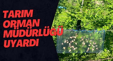 TARIM ORMAN MÜDÜRLÜĞÜ UYARDI