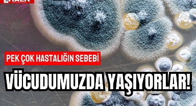 VÜCUDUMUZDA YAŞIYORLAR!