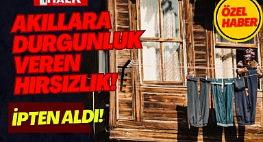 Akıllara Durgunluk Veren Hırsızlık!