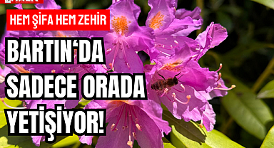 BARTIN'DA SADECE ORADA YETİŞİYOR!