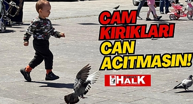 CAM KIRIKLARI, CAN ACITMASIN!