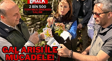 GAL ARISI İLE MÜCADELE!