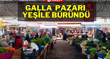 GALLA PAZARI YEŞİLE BÜRÜNDÜ