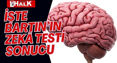 İşte Bartın'ın Zekâ Testi Sonucu