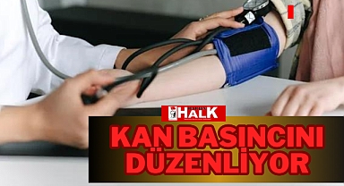 KAN BASINCINI DÜZENLİYOR