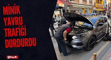 Minik yavru trafiği durdurdu