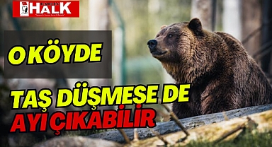 O KÖYDE AYI ÇIKABİLİR!