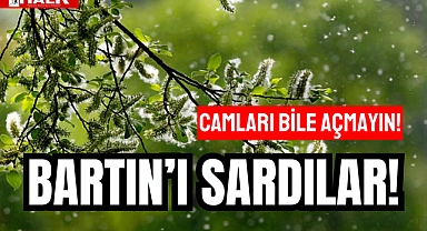 BARTIN'I SARDILAR!