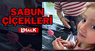 SABUN ÇİÇEKLERİ