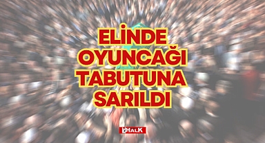 AĞABEYİNİN TABUTUNA SARILDI