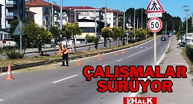 Çalışmalar Sürüyor