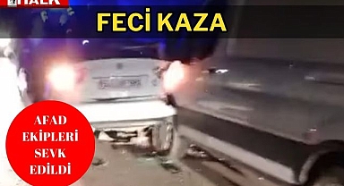 Feci kaza