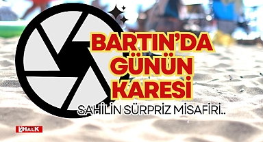 GÜNÜN KARESİ..