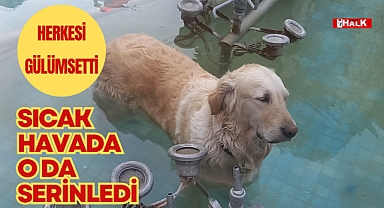 Herkesi gülümsetti