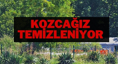 Kozcağız Temizleniyor