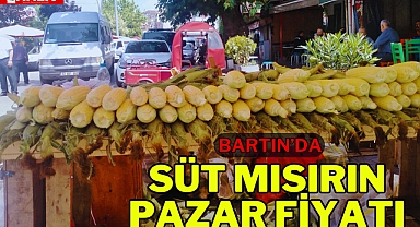 SÜT MISIRIN PAZAR FİYATI