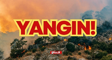 Yangın kısa sürede büyüdü