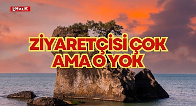 ZİYARETÇİSİ ÇOK AMA O YOK