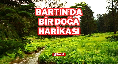 BARTIN'DA BİR DOĞA HARİKASI