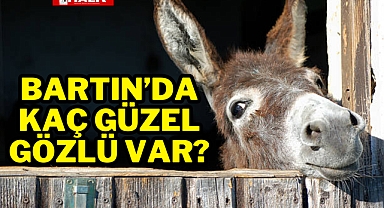 Bartın'da Kaç Güzel Gözlü Var?