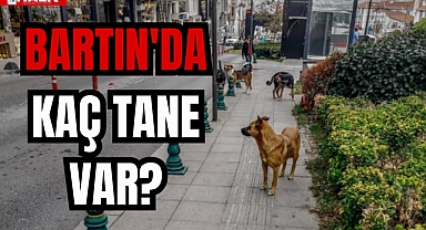 BARTIN'DA KAÇ TANE VAR?
