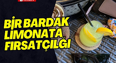 Bir Bardak Limonata Fırsatçılığı