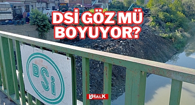 DSİ GÖZ MÜ BOYUYOR?