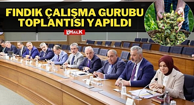 FINDIK ÇALIŞMA GURUBU TOPLANTISI