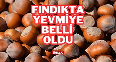 FINDIKTA YEVMİYE BELLİ OLDU