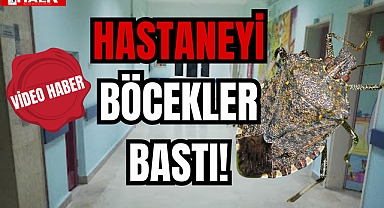 HASTANEYİ BÖCEKLER BASTI!