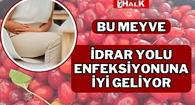 İDRAR YOLU ENFEKSİYONUNA İYİ GELEN MEYVE