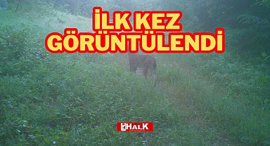 İlk kez görüntülendi