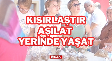 Kısırlaştır, Aşılat, Yerinde Yaşat