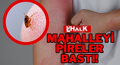 MAHALLEYİ PİRELER BASTI!