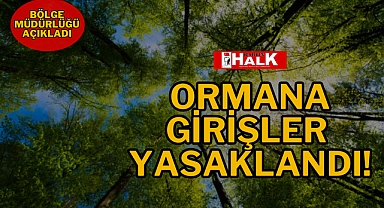 ORMANA GİRİŞLER YASAKLANDI!