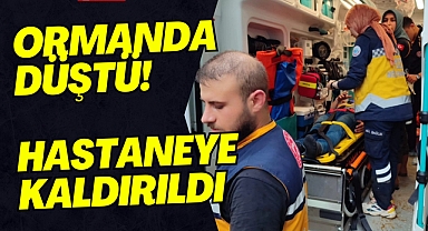 Ormanda Düştü! Hastaneye Kaldırıldı