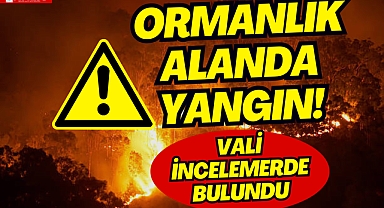 ORMANLIK ALANDA YANGIN!