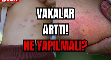 VAKALAR ARTTI!