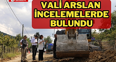 VALİ ARSLAN İNCELEMELERDE BULUNDU