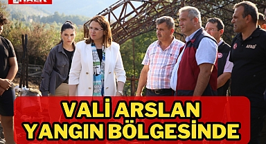 VALİ ARSLAN, YANGIN BÖLGESİNDE