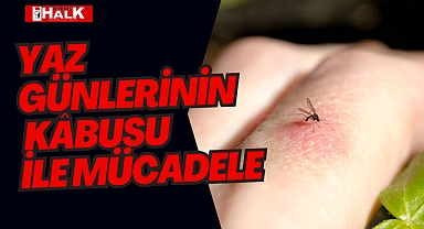 YAZ GÜNLERİNİN KÂBUSU