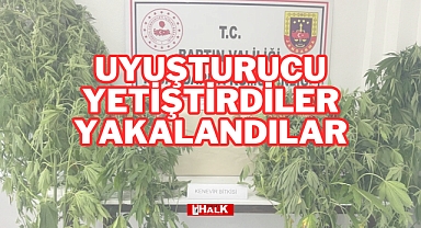 YETİŞTİRDİLER, YAKALANDILAR