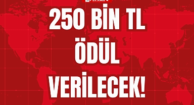 250 BİN TL ÖDÜL VERİLECEK!